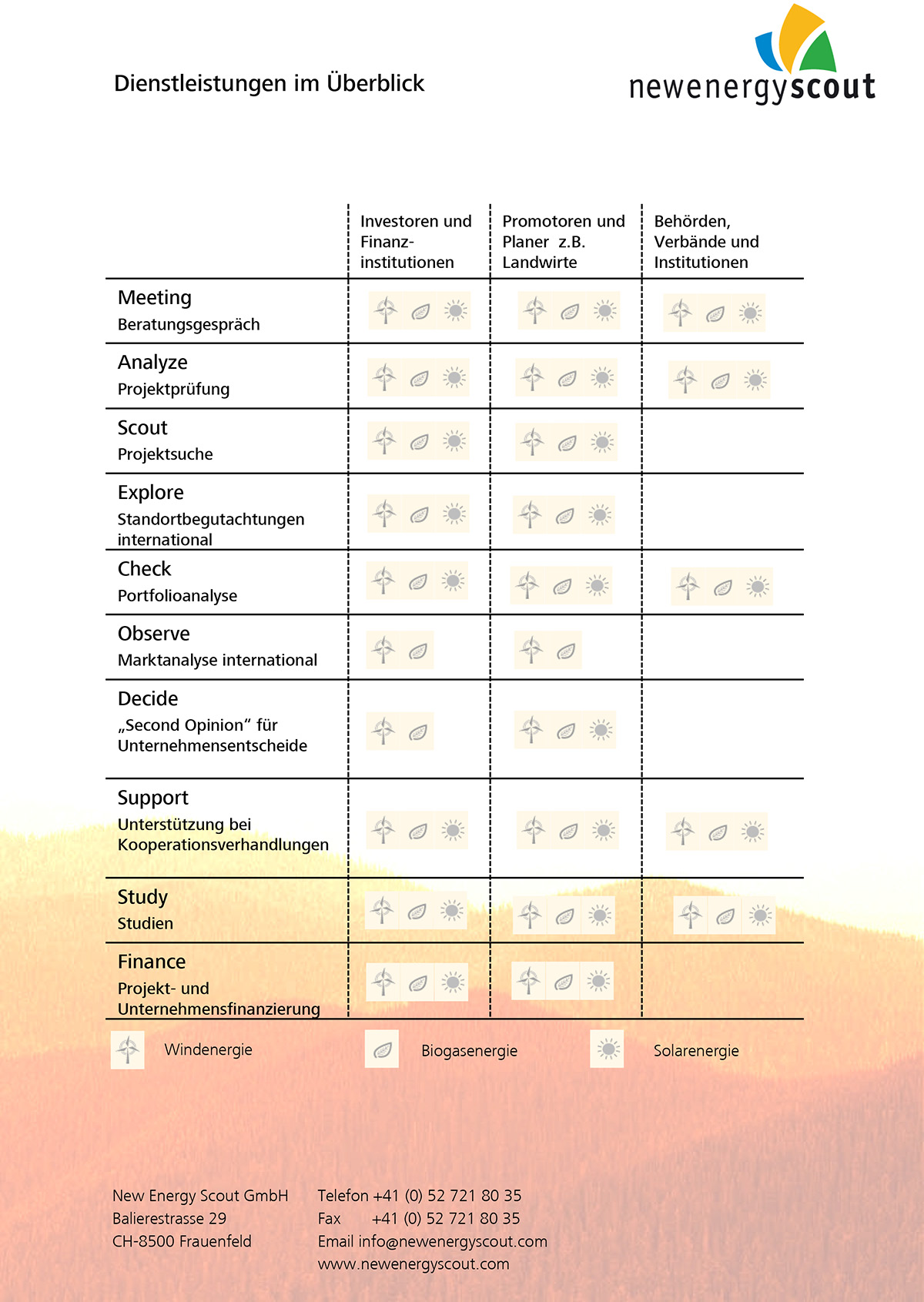 Redesign New Energy Scout - Flyer vorher Tabelle