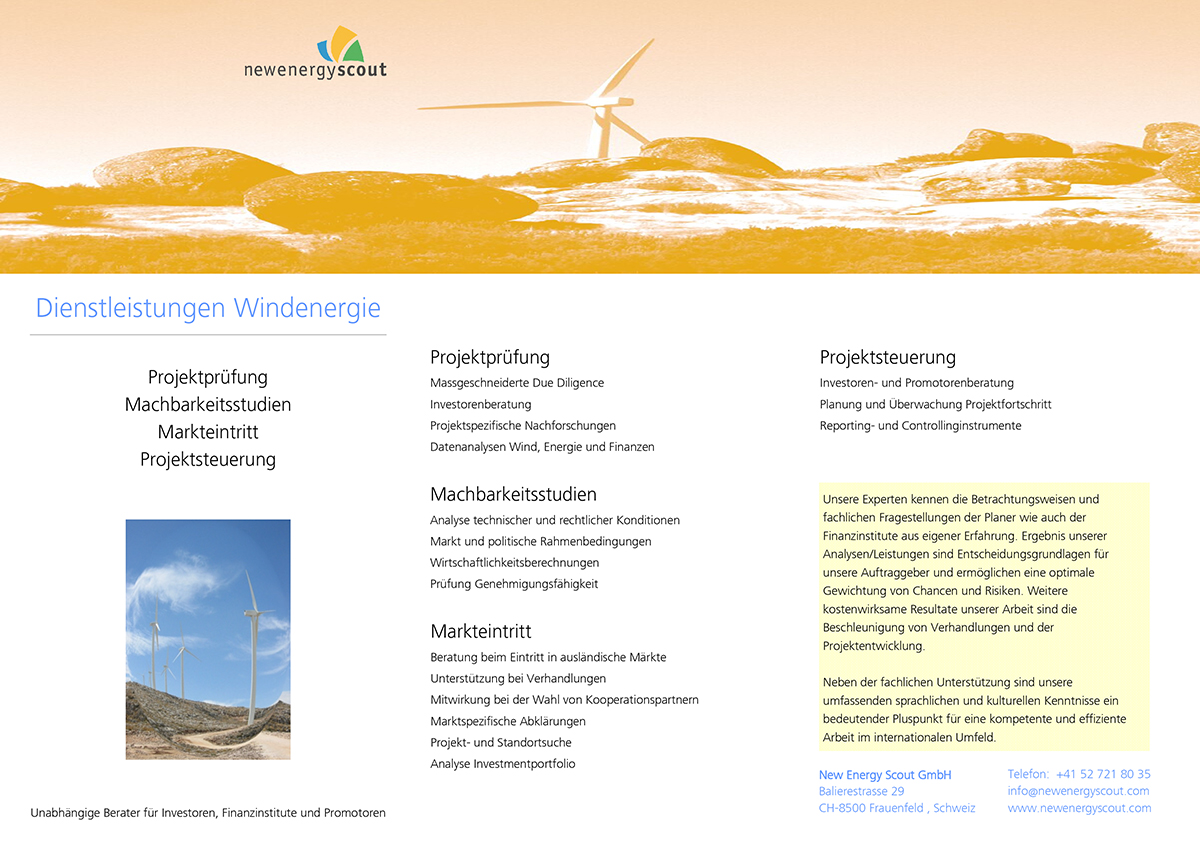 Redesign New Energy Scout - Flyer vorher Biogas