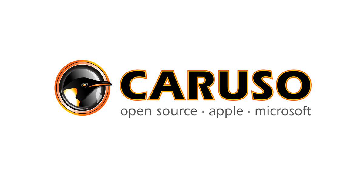 Logo Caruso - In einem Kreis stehender Ausschnitt eines Kaiserpinguins.